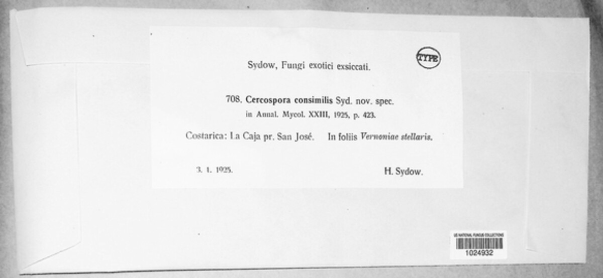 Passalora consimilis image